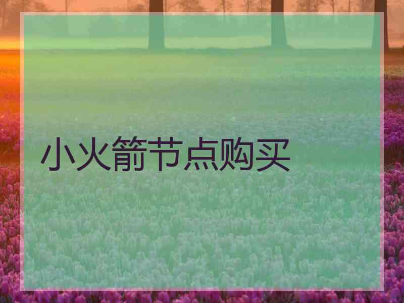 小火箭节点购买