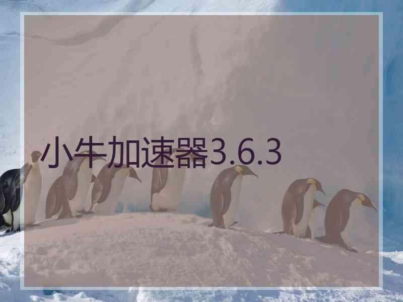 小牛加速器3.6.3
