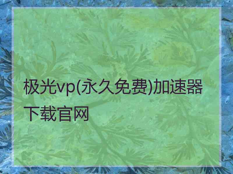 极光vp(永久免费)加速器下载官网