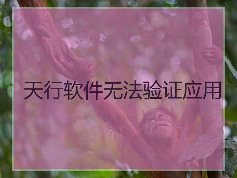 天行软件无法验证应用
