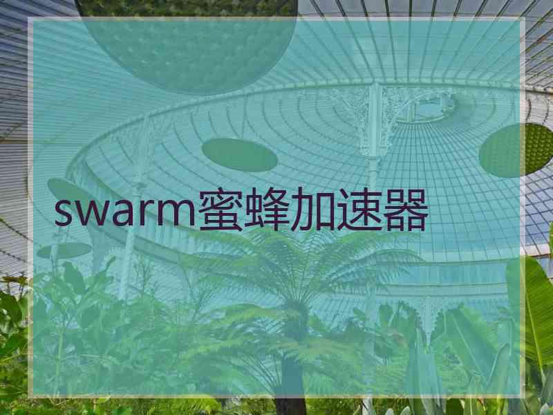swarm蜜蜂加速器