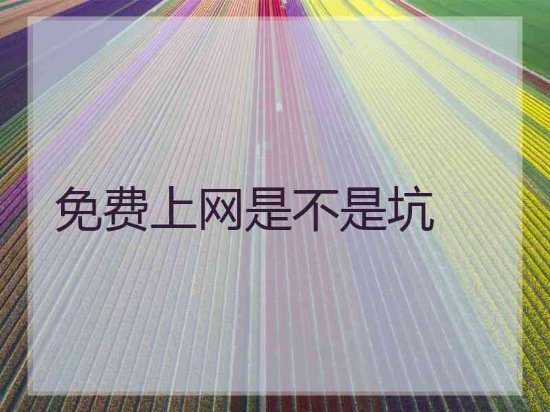免费上网是不是坑