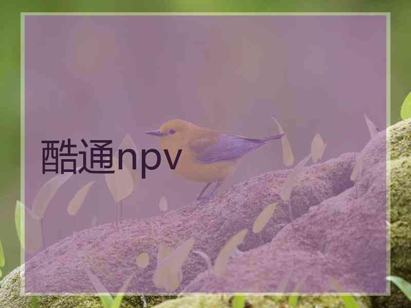 酷通npv