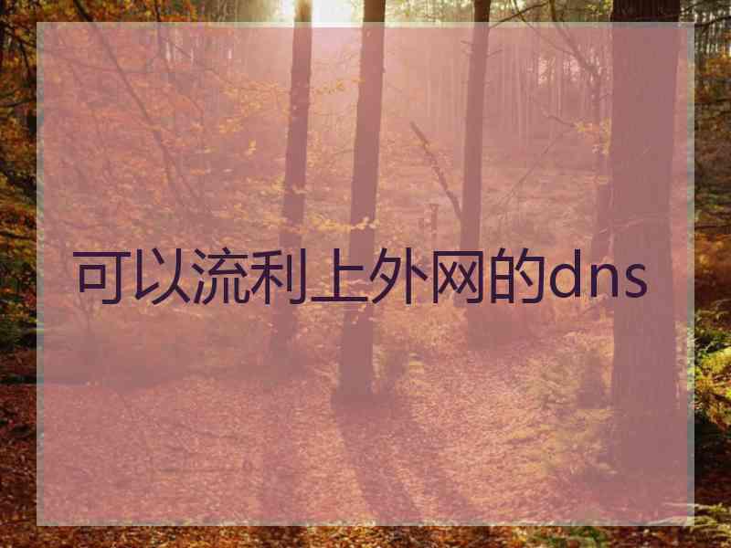 可以流利上外网的dns