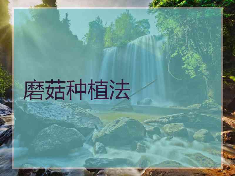 磨菇种植法