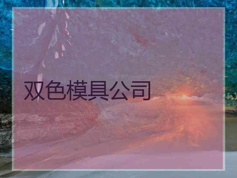 双色模具公司