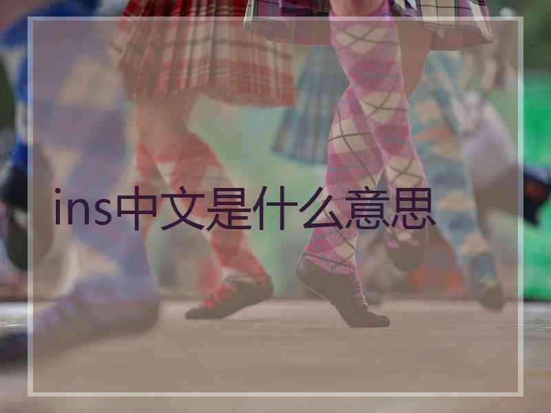 ins中文是什么意思