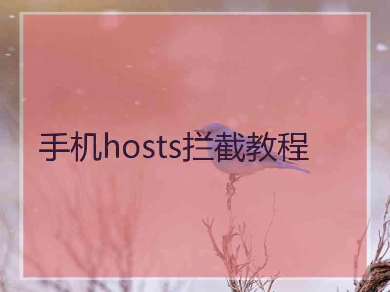 手机hosts拦截教程