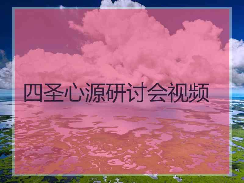 四圣心源研讨会视频