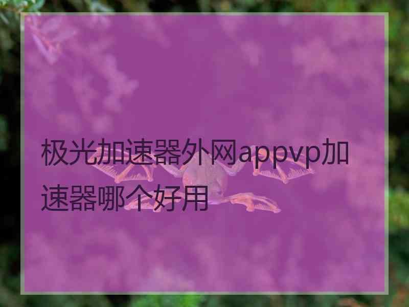 极光加速器外网appvp加速器哪个好用