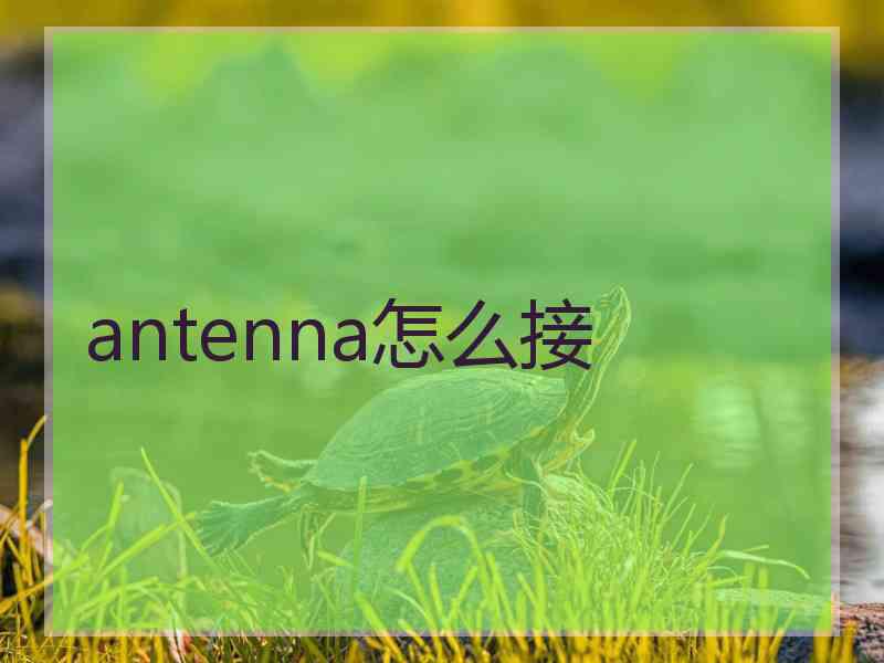 antenna怎么接