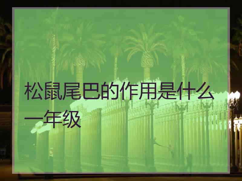 松鼠尾巴的作用是什么一年级
