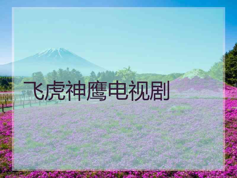 飞虎神鹰电视剧