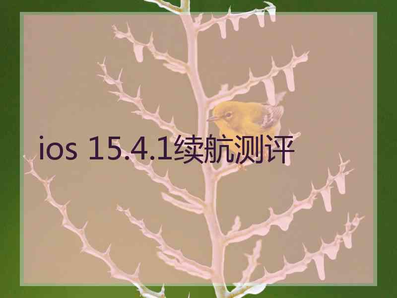 ios 15.4.1续航测评