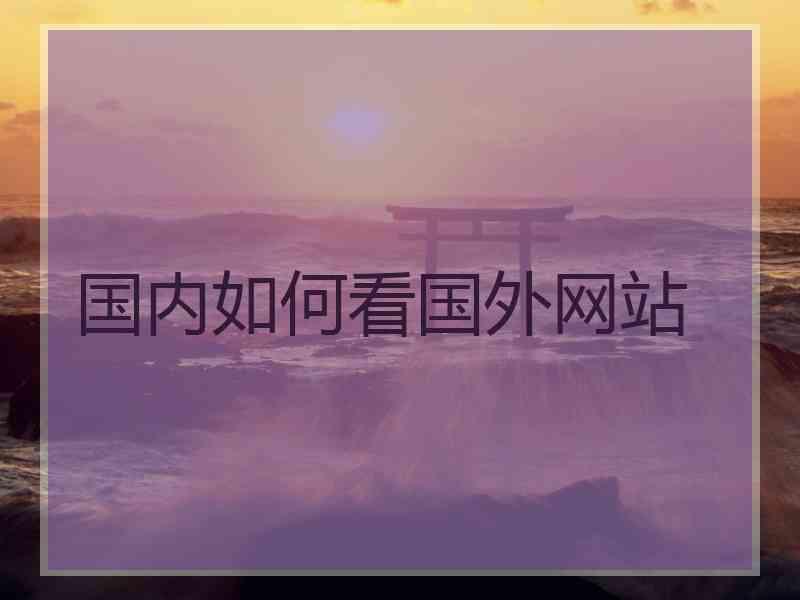 国内如何看国外网站