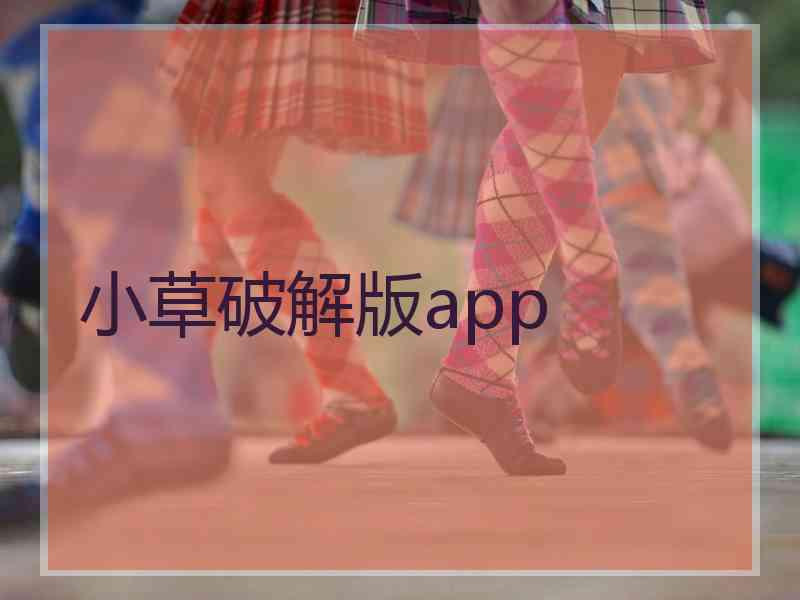 小草破解版app
