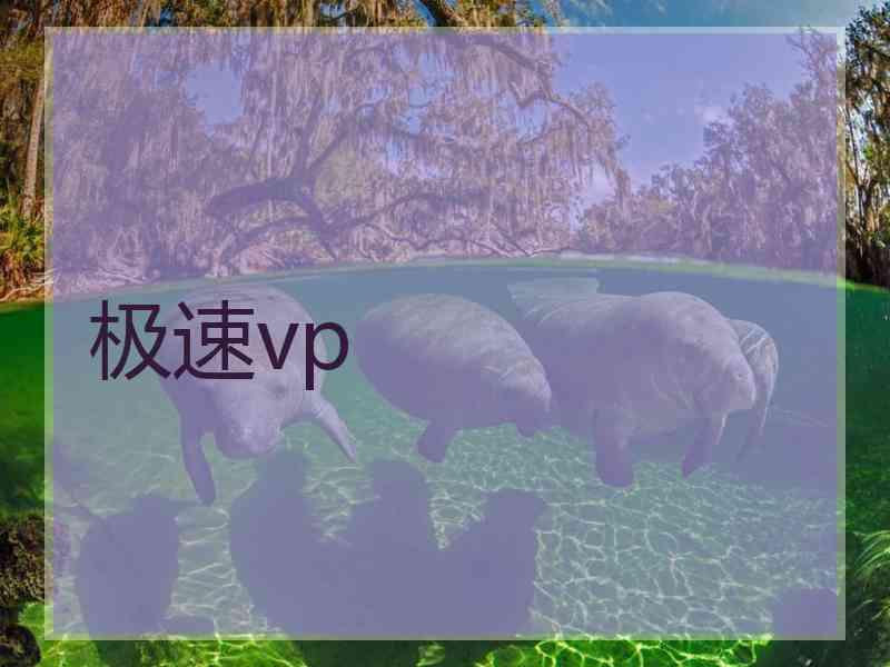 极速vp