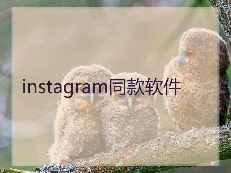 instagram同款软件