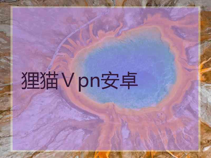 狸猫Ⅴpn安卓