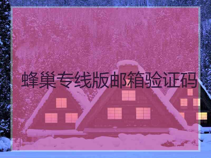 蜂巢专线版邮箱验证码