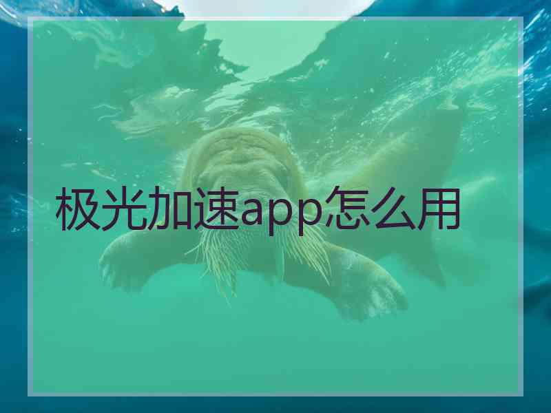 极光加速app怎么用