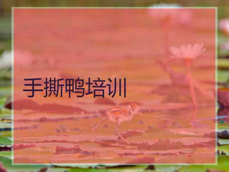 手撕鸭培训