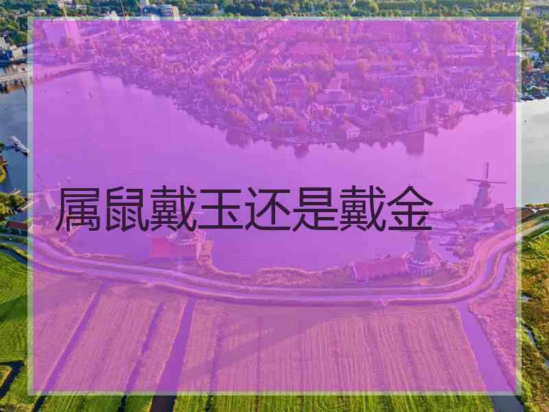 属鼠戴玉还是戴金