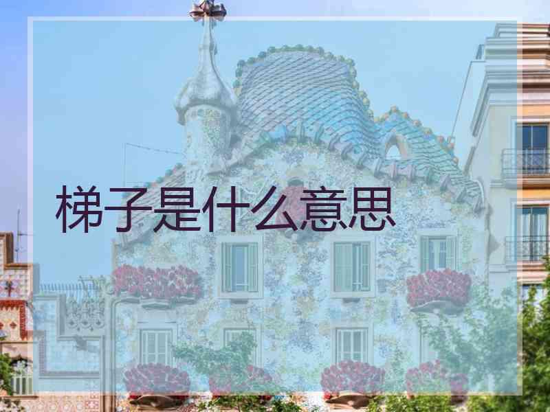 梯子是什么意思