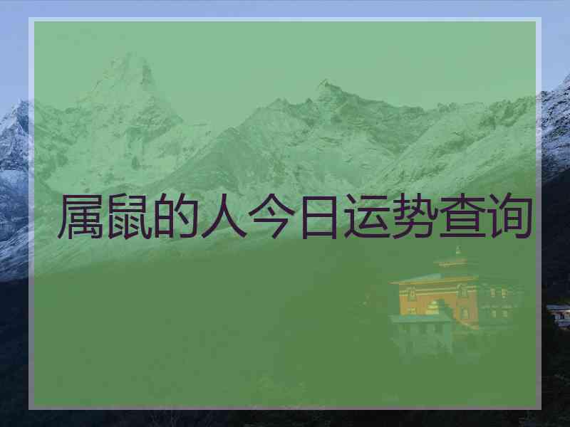 属鼠的人今日运势查询