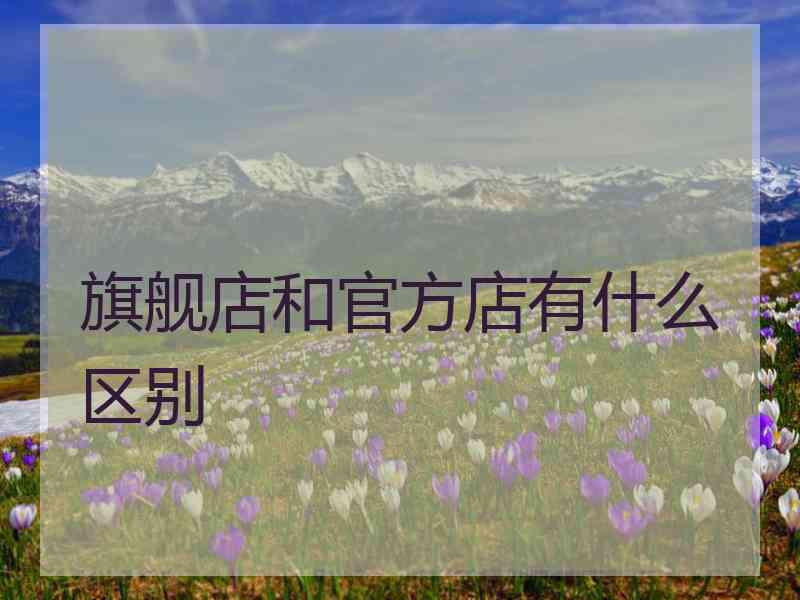 旗舰店和官方店有什么区别