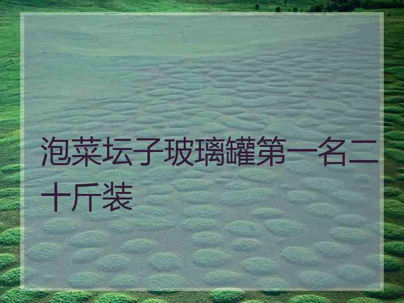 泡菜坛子玻璃罐第一名二十斤装