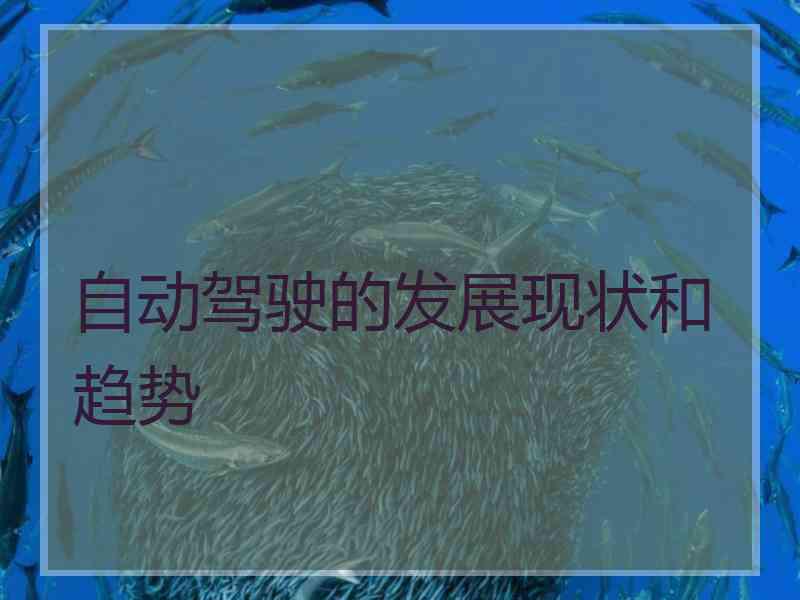 自动驾驶的发展现状和趋势