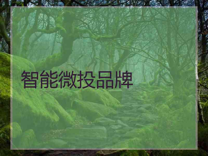 智能微投品牌