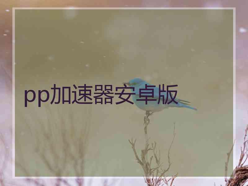 pp加速器安卓版