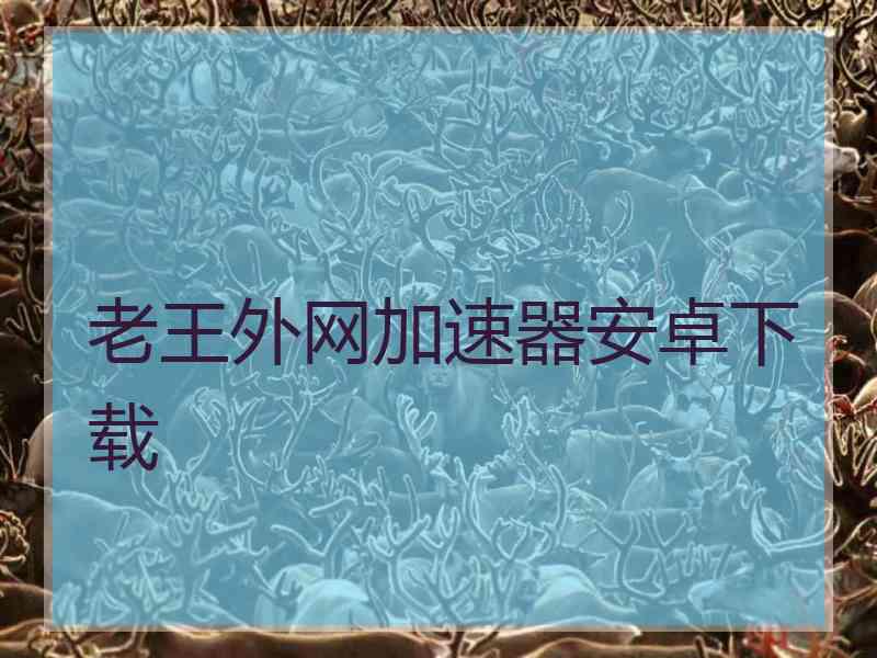 老王外网加速器安卓下载