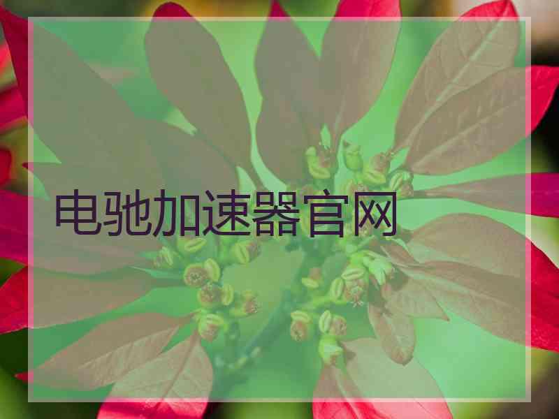 电驰加速器官网