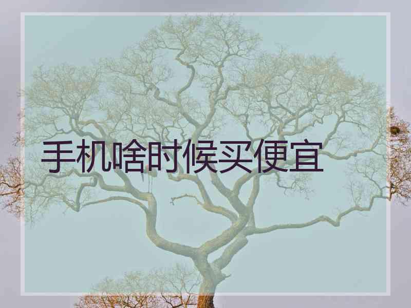 手机啥时候买便宜