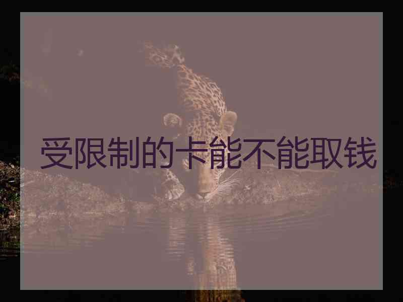 受限制的卡能不能取钱