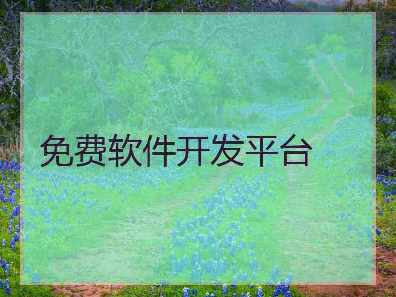 免费软件开发平台