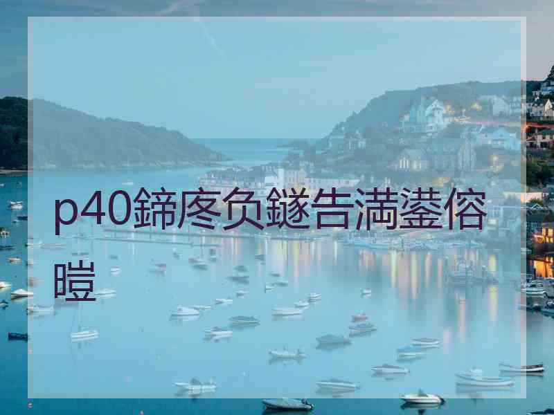 p40鍗庝负鐩告満鍙傛暟