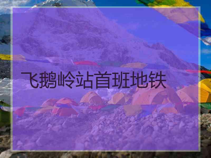 飞鹅岭站首班地铁