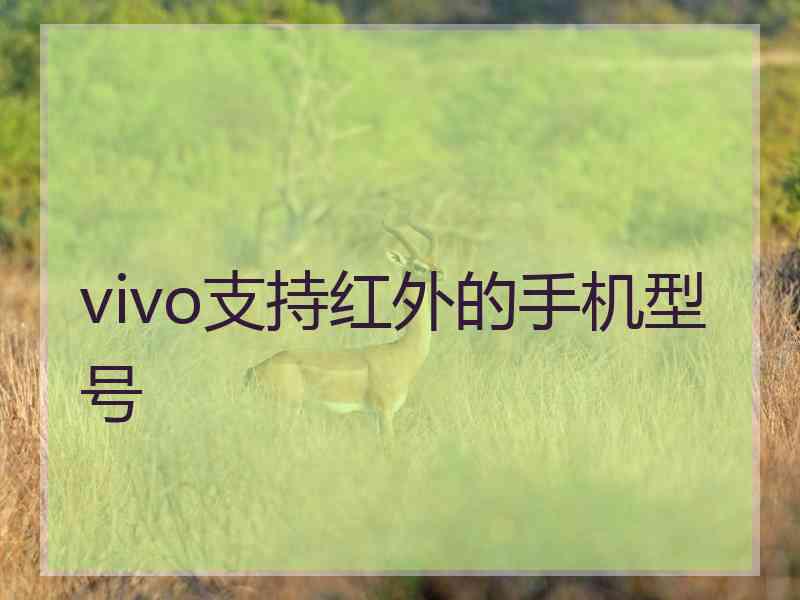 vivo支持红外的手机型号
