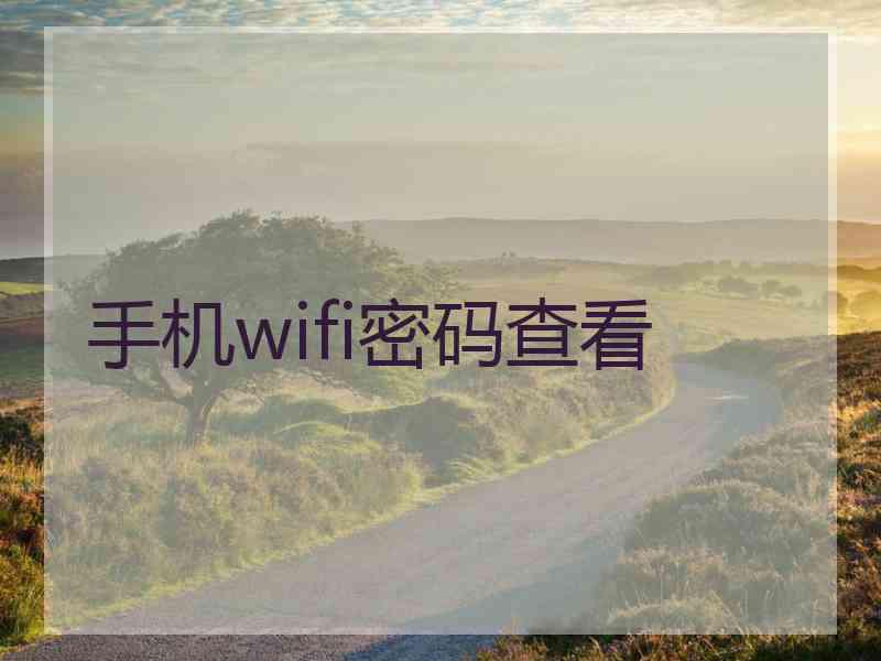 手机wifi密码查看