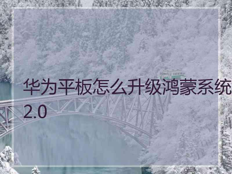 华为平板怎么升级鸿蒙系统2.0