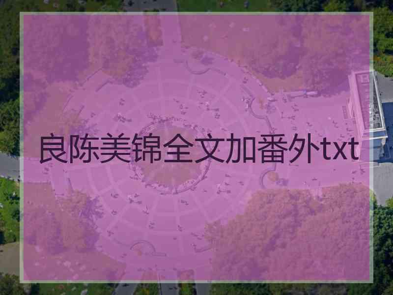 良陈美锦全文加番外txt