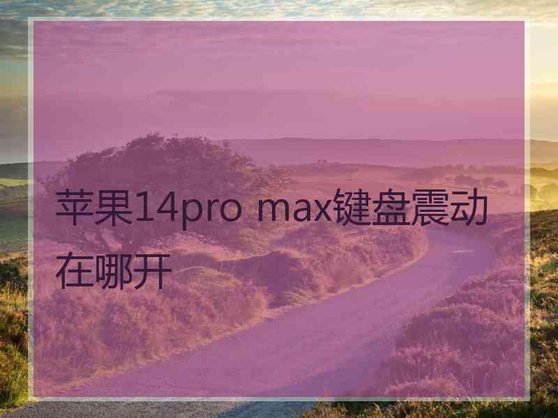 苹果14pro max键盘震动在哪开