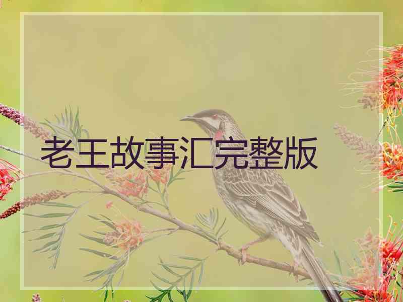 老王故事汇完整版