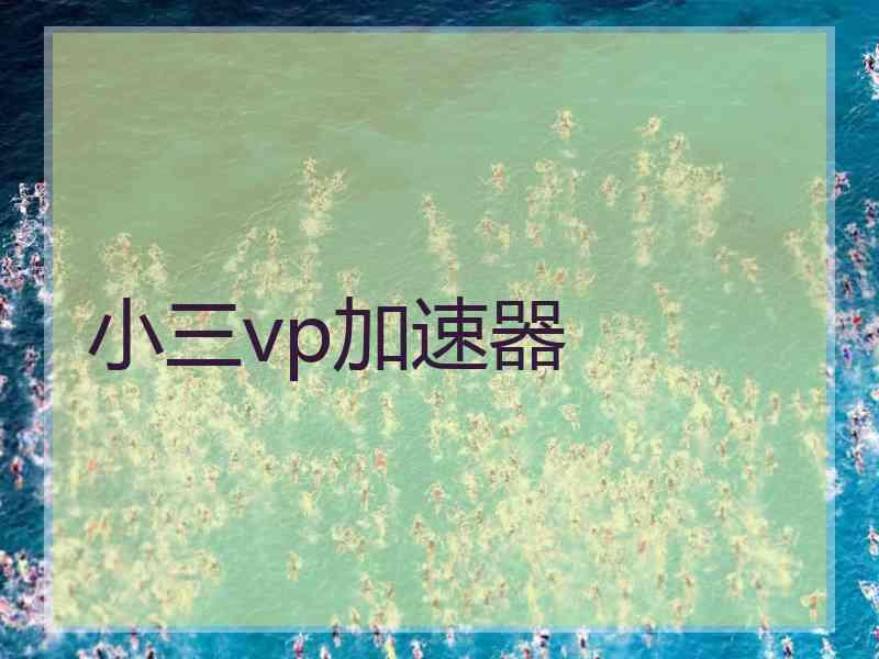 小三vp加速器