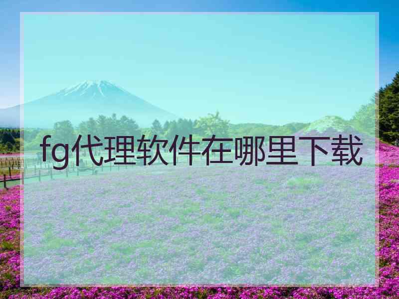 fg代理软件在哪里下载