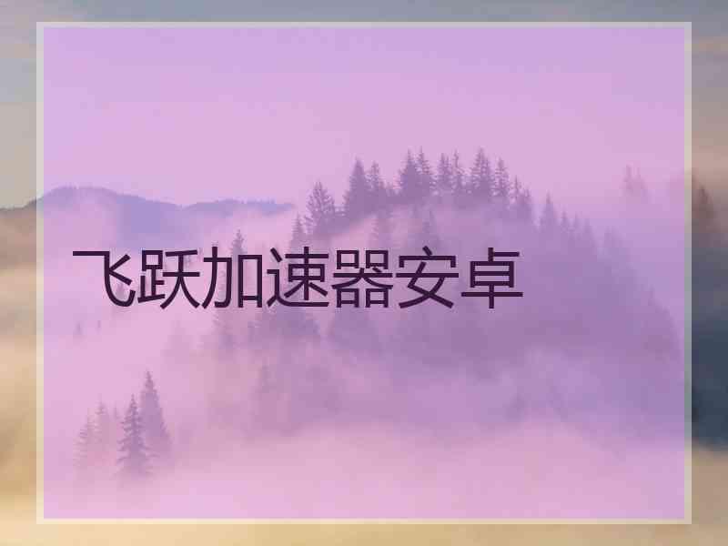 飞跃加速器安卓